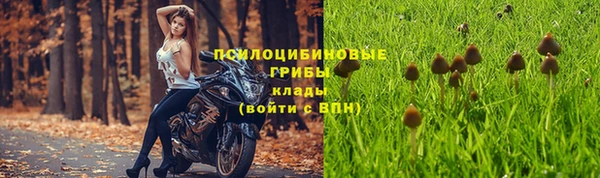 спайс Белоозёрский